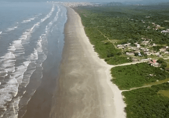 Praia protegida pelo meio ambiente em Peruíbe é ameaçada com a presença de veículos e cães