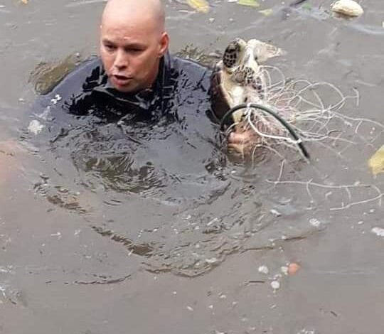 Polícia Militar Ambiental Marítima de São Paulo apreende mais de 50 quilômetros de redes de pesca entre janeiro e novembro deste ano