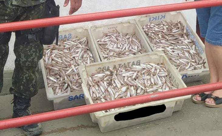 Polícia Ambiental flagra pesca irregular e Manjuba em Iguape