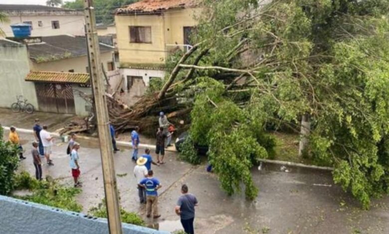Defesa Civil de São Sebastião atende ocorrências devido à chuva