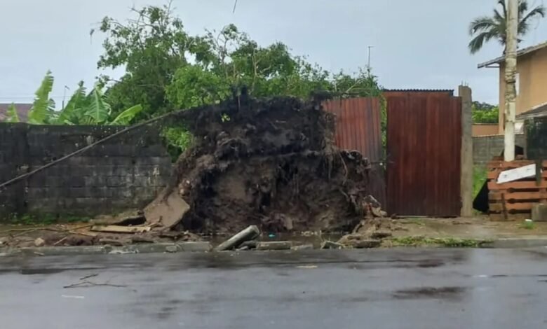 Baixada Santista sofre com alagamentos e queda de árvores por conta de fortes chuvas