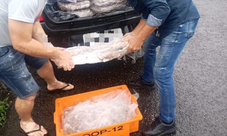 Polícia Ambiental flagra armazenamento irregular de Polvo em Guarujá