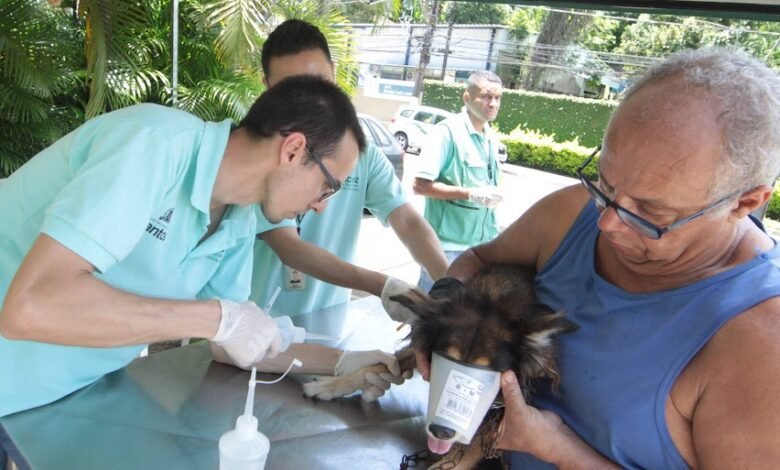 Santos promove testes de leishmaniose em cães da Nova Cintra