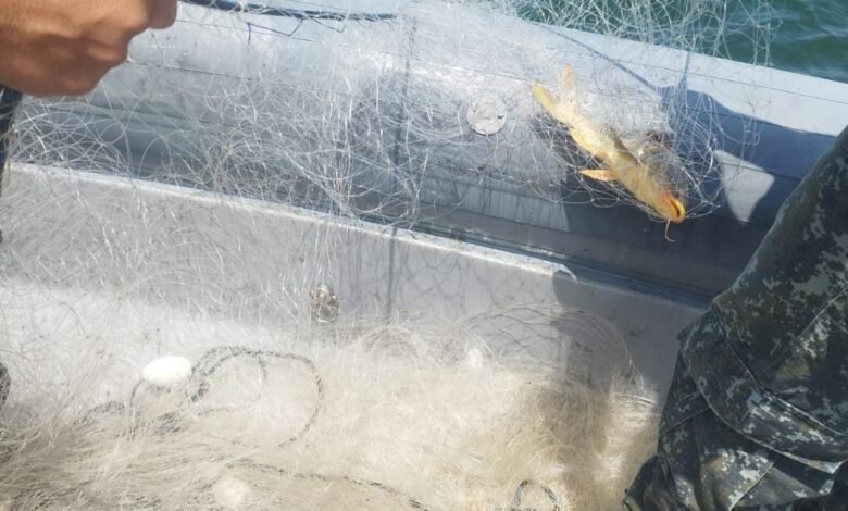 Rede de Pesca irregular é recolhida próximo ao Porto de Santos