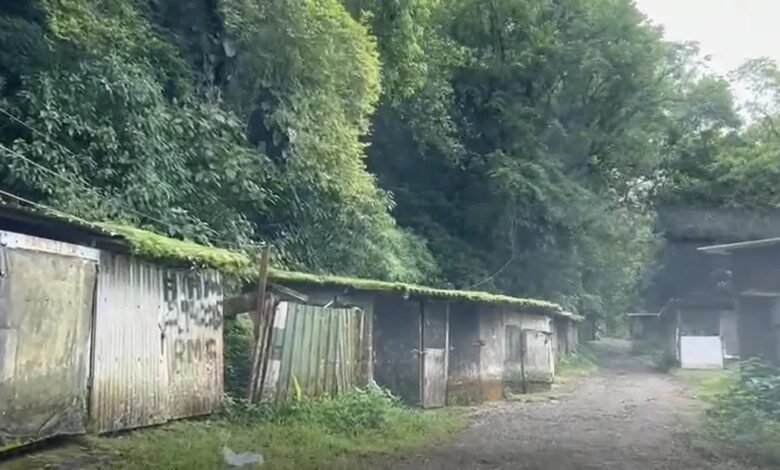 Casais são sequestrados e ficam em cativeiro como reféns