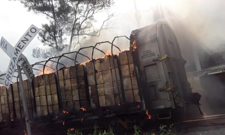 VÍDEO - Vagões de trem pegam fogo em linha férrea de Cubatão