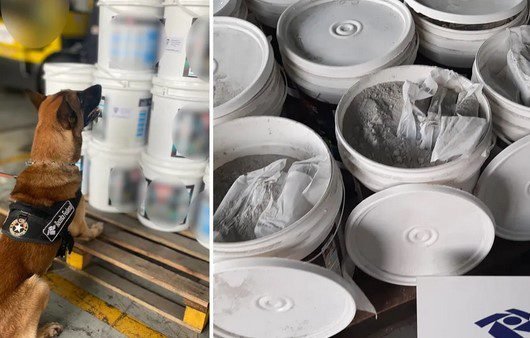 Operação conjunta no Porto de Santos resulta na apreensão de 199 Kg de cocaína