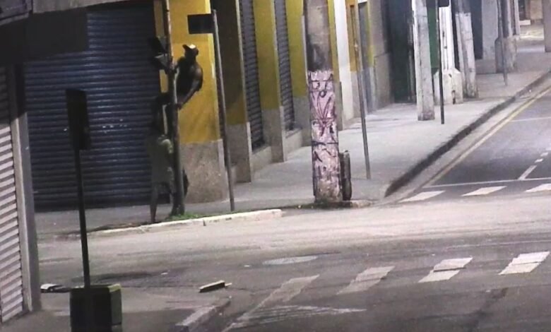 Seis pessoas são presas em flagrante em duas ocorrências em Santos