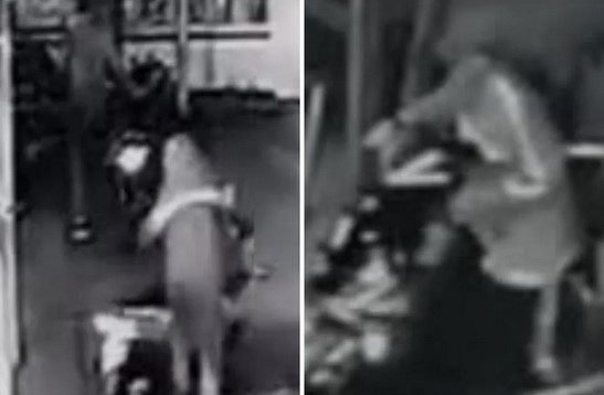 Quadrilha invade concessionária de Cubatão e furta motos