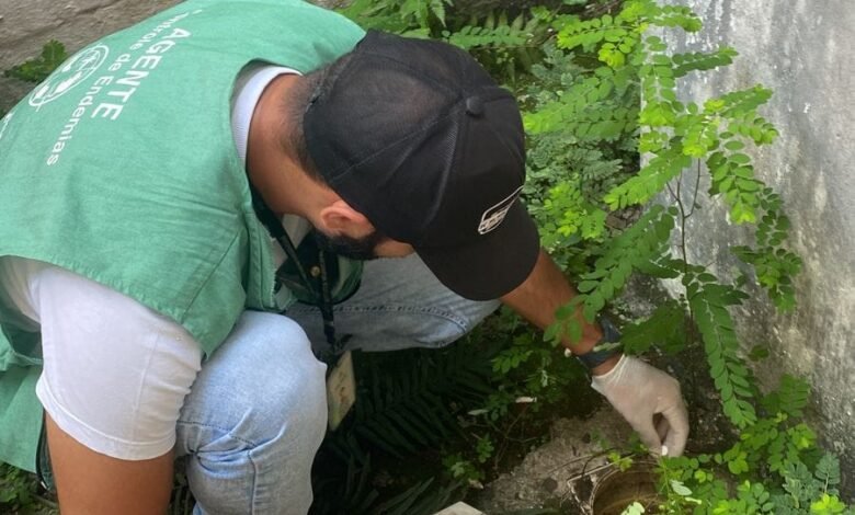 Mutirão contra a dengue em Santos elimina 65 focos de transmissão