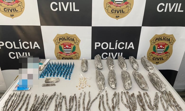 Drogas que seriam distribuídas em São Vicente são apreendidas pela Polícia