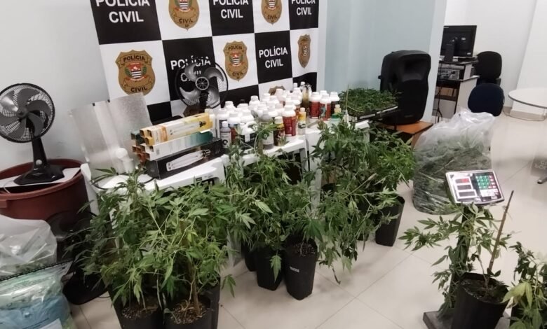 VÍDEO - Primeira apreensão de maconha sintética é realizada na Baixada Santista