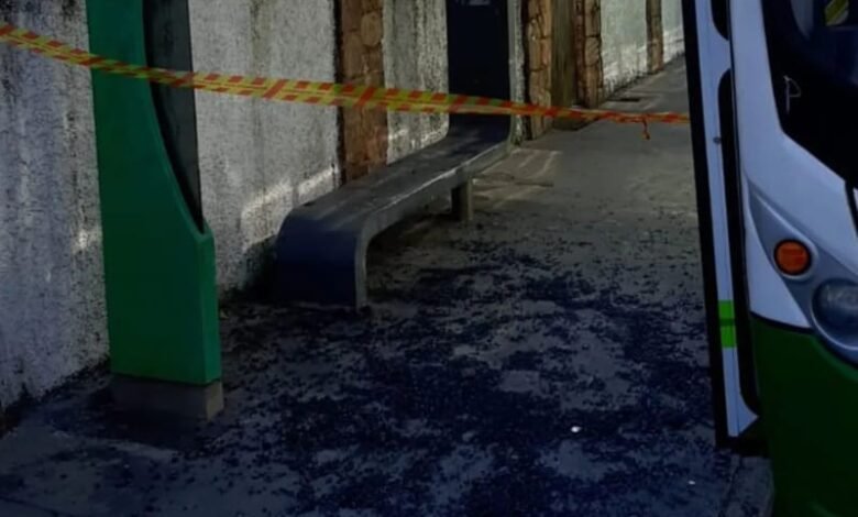 Ônibus bate em teto de ponto e fere idosa