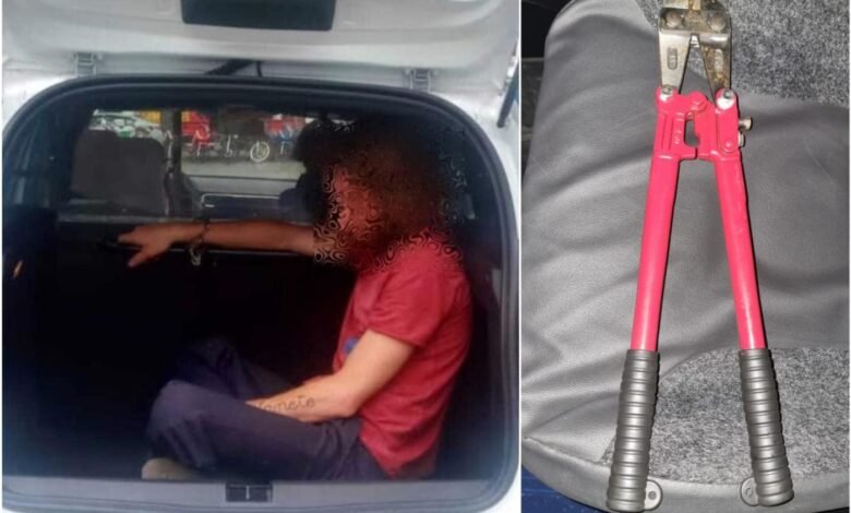 Guarda Municipal prende homem por tentativa de furto e procurado da Justiça em Santos