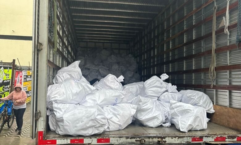 Polícia Civil apreende mais de 4 mil pares de calçados falsificados