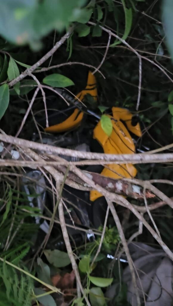 VÍDEO - Mercadorias roubadas de entregadores são recuperadas