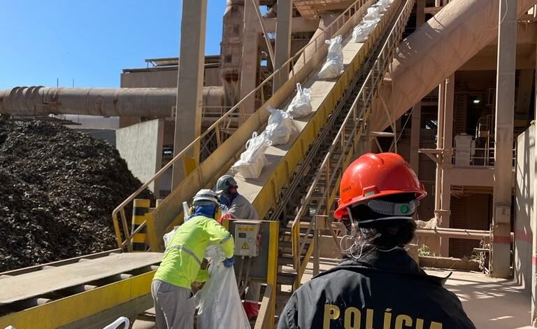 Três toneladas de drogas são incineradas pela Polícia em Santos