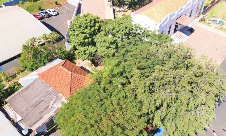 Olímpia ganhará Escola Municipal de Música em prédio restaurado