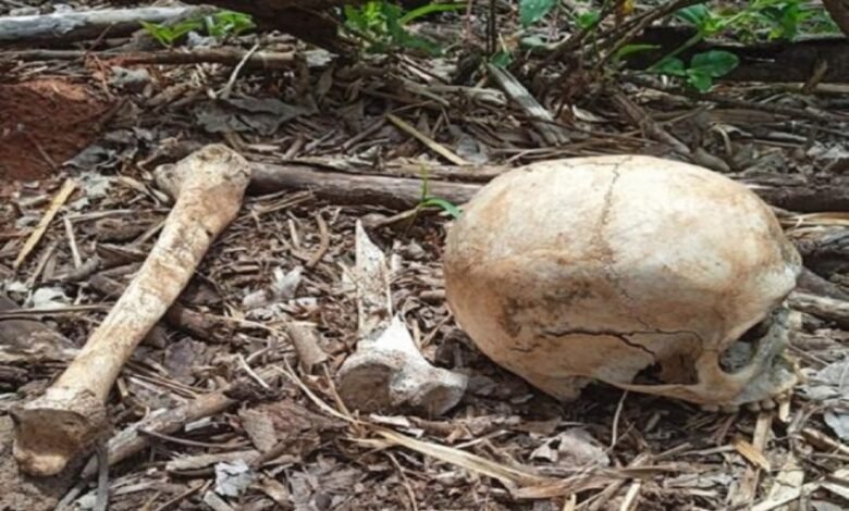 Ossada humana é encontrada em fazenda