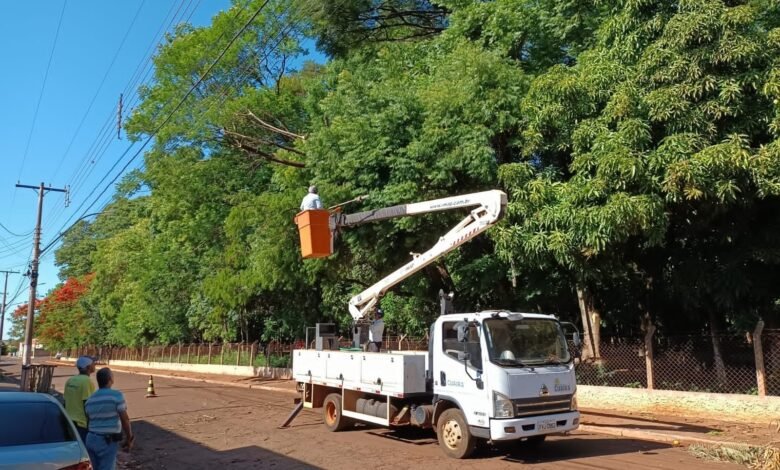 Com apoio da CPFL, prefeitura faz podas preventivas no zoológico