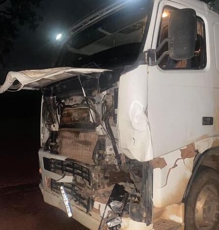 Animal na rodovia Paulo Borges de Oliveira causa acidente