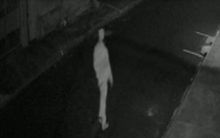 Animal é encontrado morto por asfixia e causa revolta na comunidade