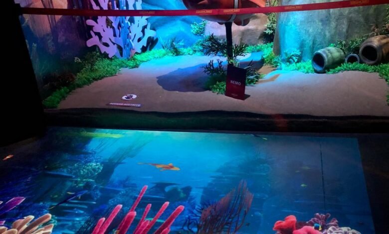 Museu de Cera de Olímpia ganha atração interativa inspirada em 'Procurando Nemo'"